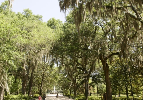 What makes savannah special?